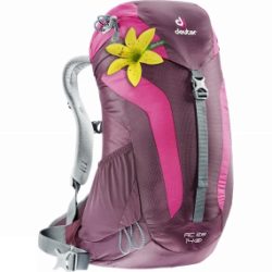Deuter AC Lite 14 SL Rucksack Aubergine / Magenta